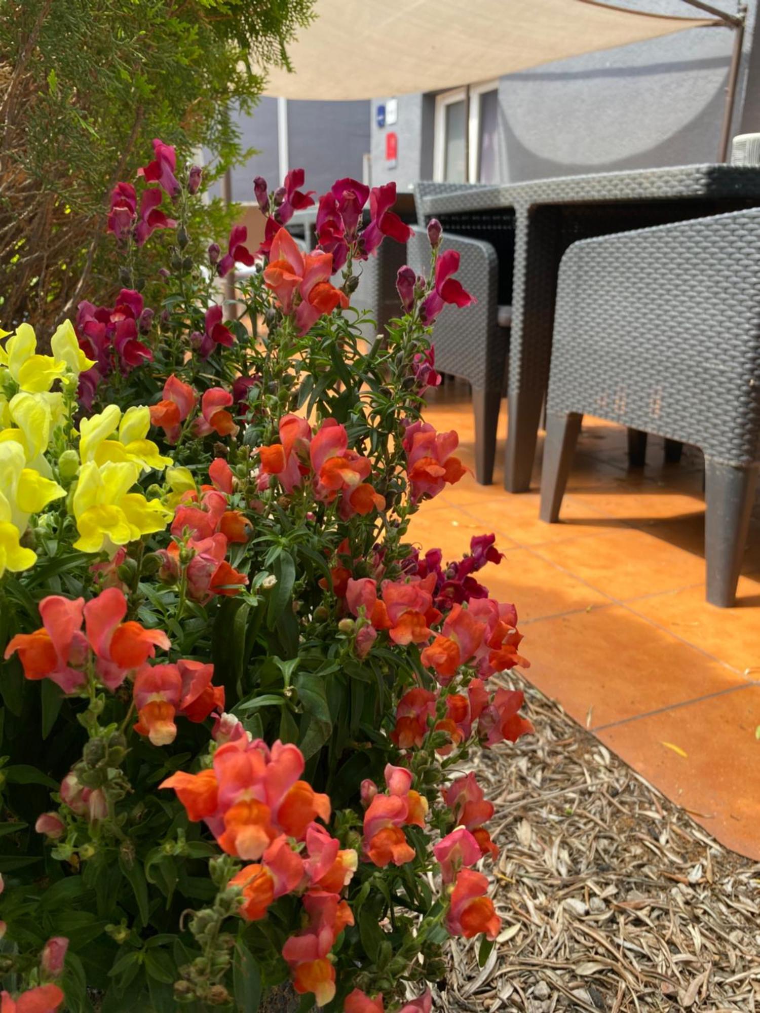 Contact Hotel Le Sud Montpellier Aeroport Parc Expo Arena Моґійо Екстер'єр фото
